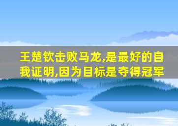 王楚钦击败马龙,是最好的自我证明,因为目标是夺得冠军