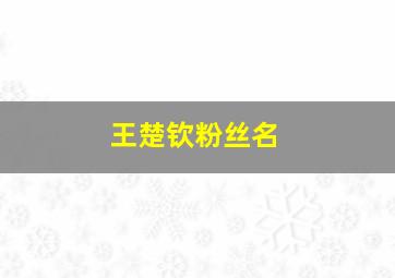 王楚钦粉丝名