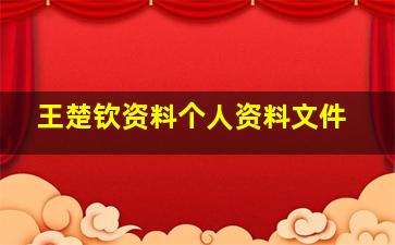 王楚钦资料个人资料文件