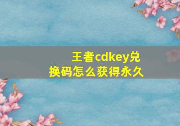 王者cdkey兑换码怎么获得永久