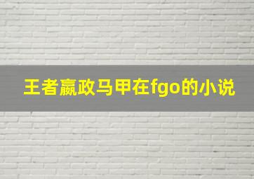 王者嬴政马甲在fgo的小说