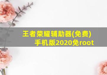 王者荣耀辅助器(免费)手机版2020免root