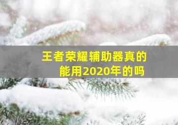 王者荣耀辅助器真的能用2020年的吗