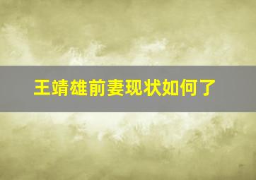 王靖雄前妻现状如何了