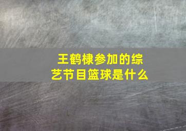 王鹤棣参加的综艺节目篮球是什么