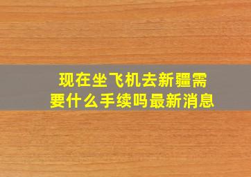 现在坐飞机去新疆需要什么手续吗最新消息