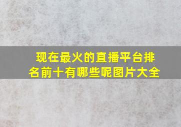 现在最火的直播平台排名前十有哪些呢图片大全