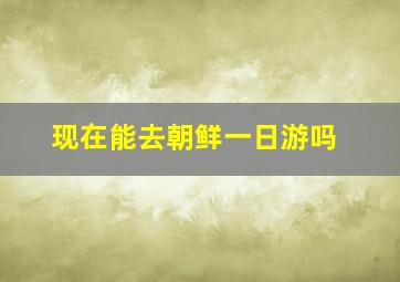 现在能去朝鲜一日游吗