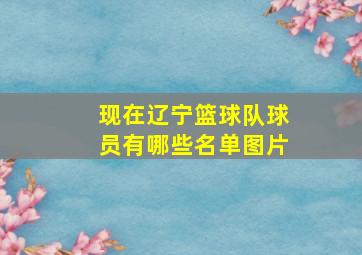 现在辽宁篮球队球员有哪些名单图片