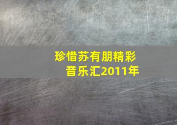 珍惜苏有朋精彩音乐汇2011年