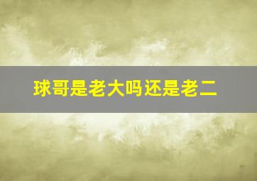 球哥是老大吗还是老二