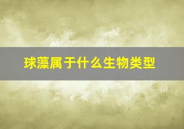 球藻属于什么生物类型