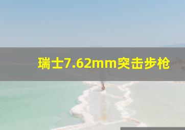 瑞士7.62mm突击步枪