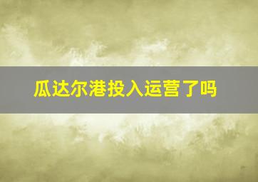 瓜达尔港投入运营了吗