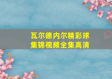 瓦尔德内尔精彩球集锦视频全集高清