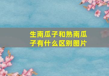 生南瓜子和熟南瓜子有什么区别图片