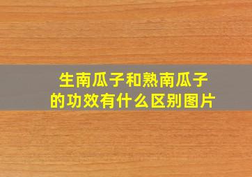 生南瓜子和熟南瓜子的功效有什么区别图片