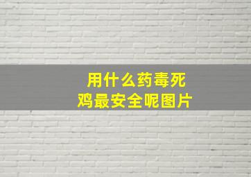 用什么药毒死鸡最安全呢图片