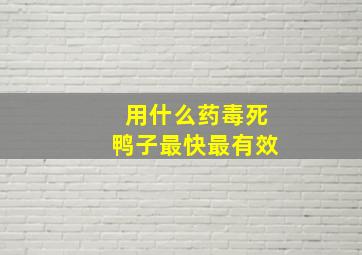 用什么药毒死鸭子最快最有效