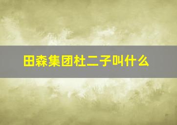 田森集团杜二子叫什么