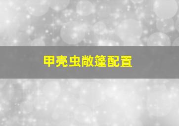 甲壳虫敞篷配置