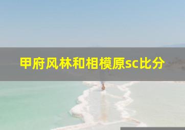 甲府风林和相模原sc比分