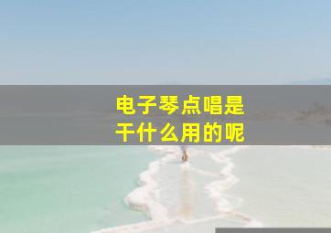 电子琴点唱是干什么用的呢