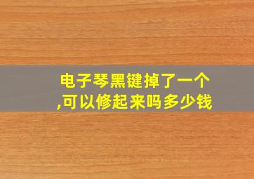 电子琴黑键掉了一个,可以修起来吗多少钱