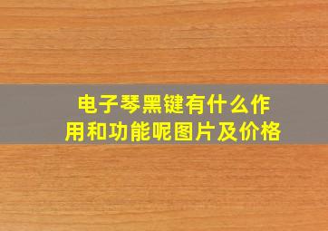 电子琴黑键有什么作用和功能呢图片及价格