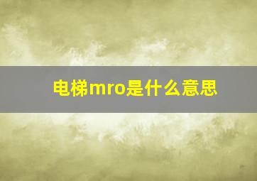 电梯mro是什么意思