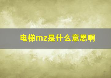 电梯mz是什么意思啊