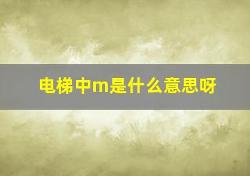 电梯中m是什么意思呀