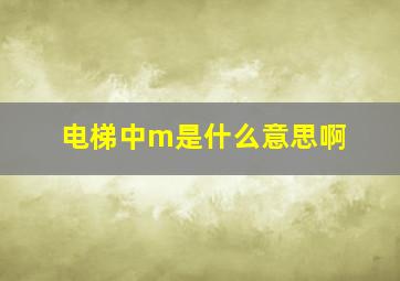 电梯中m是什么意思啊