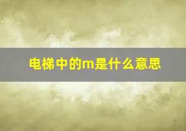 电梯中的m是什么意思