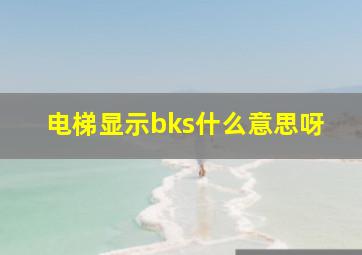 电梯显示bks什么意思呀