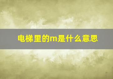 电梯里的m是什么意思