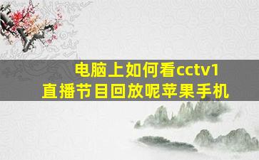 电脑上如何看cctv1直播节目回放呢苹果手机