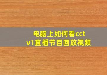 电脑上如何看cctv1直播节目回放视频