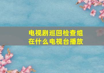 电视剧巡回检查组在什么电视台播放