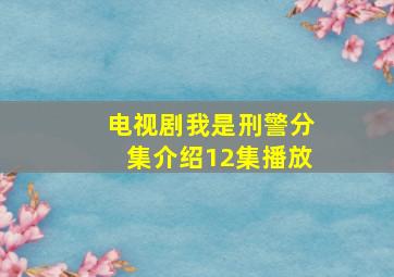 电视剧我是刑警分集介绍12集播放