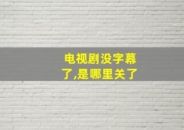 电视剧没字幕了,是哪里关了