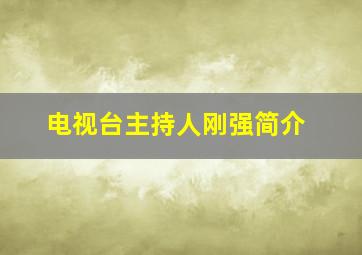 电视台主持人刚强简介