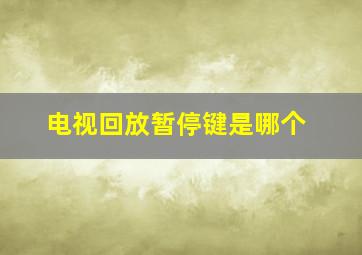 电视回放暂停键是哪个