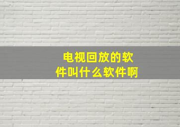 电视回放的软件叫什么软件啊