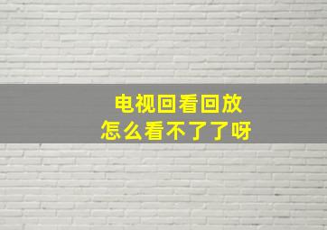 电视回看回放怎么看不了了呀