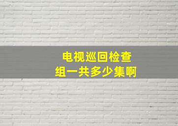 电视巡回检查组一共多少集啊