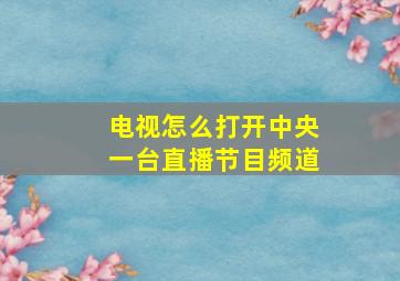 电视怎么打开中央一台直播节目频道