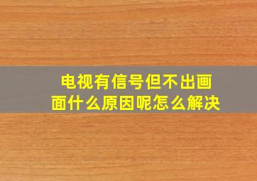 电视有信号但不出画面什么原因呢怎么解决