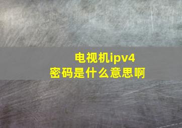 电视机ipv4密码是什么意思啊