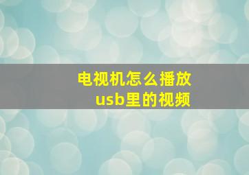 电视机怎么播放usb里的视频